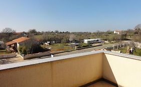 Cozy Apartments And Rooms Pavicini