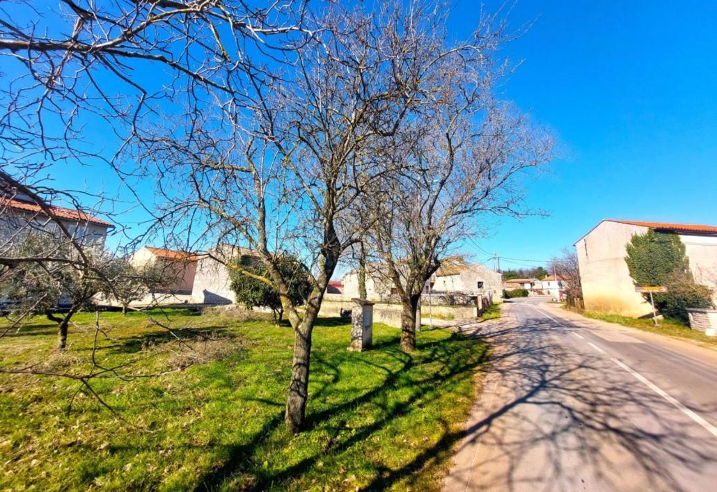 Cozy Apartments And Rooms Pavicini Segotici Esterno foto