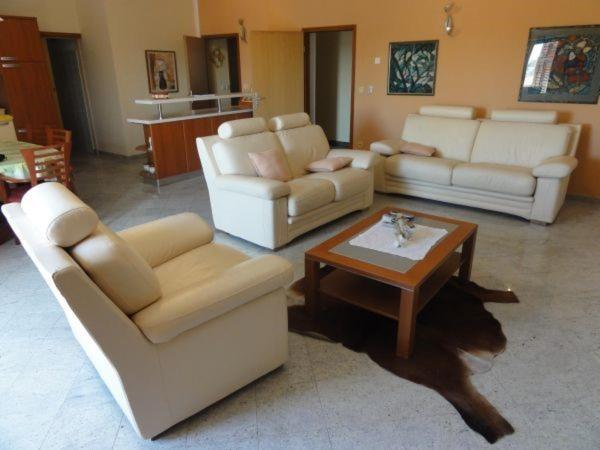 Cozy Apartments And Rooms Pavicini Segotici Esterno foto